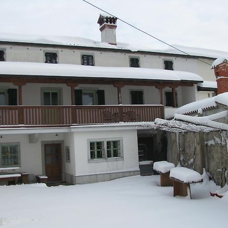Pliskovica Tourist Farm Petelin-Durcikヴィラ エクステリア 写真